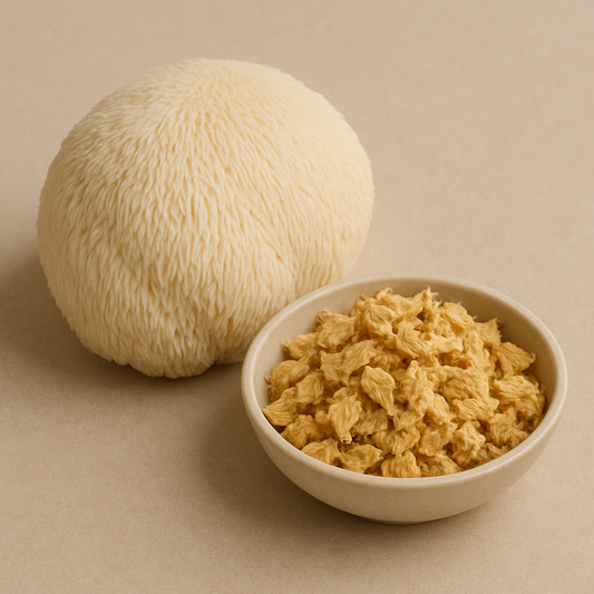 Lion's Mane PURA – För minne, fokus, nervsystem & kognitiv hälsa