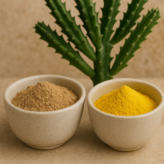 MYWAIST – Naturligt tillskott för viktminskning, aptit & fettförbränning