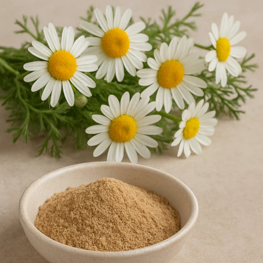 SLEEPWELL – Naturligt sömntillskott med kamomill & apigenin