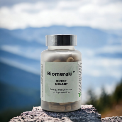 ONTOP SHILAJIT – Naturligt tillskott för energi, cellhälsa & vitalitet
